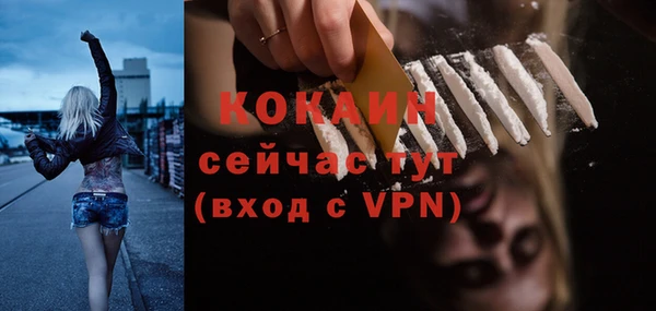 прущий лед Алзамай