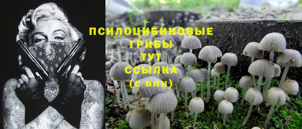 прущий лед Алзамай