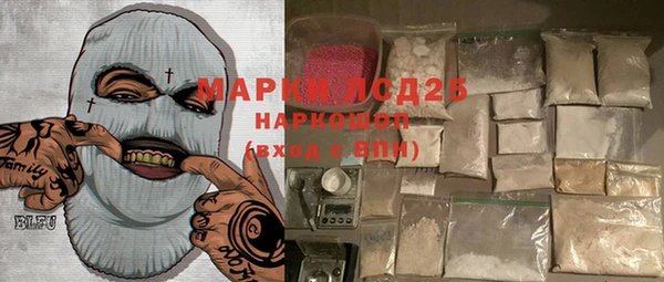 прущий лед Алзамай