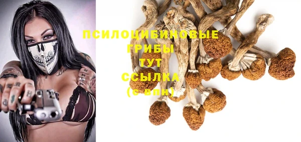 spice Алексин